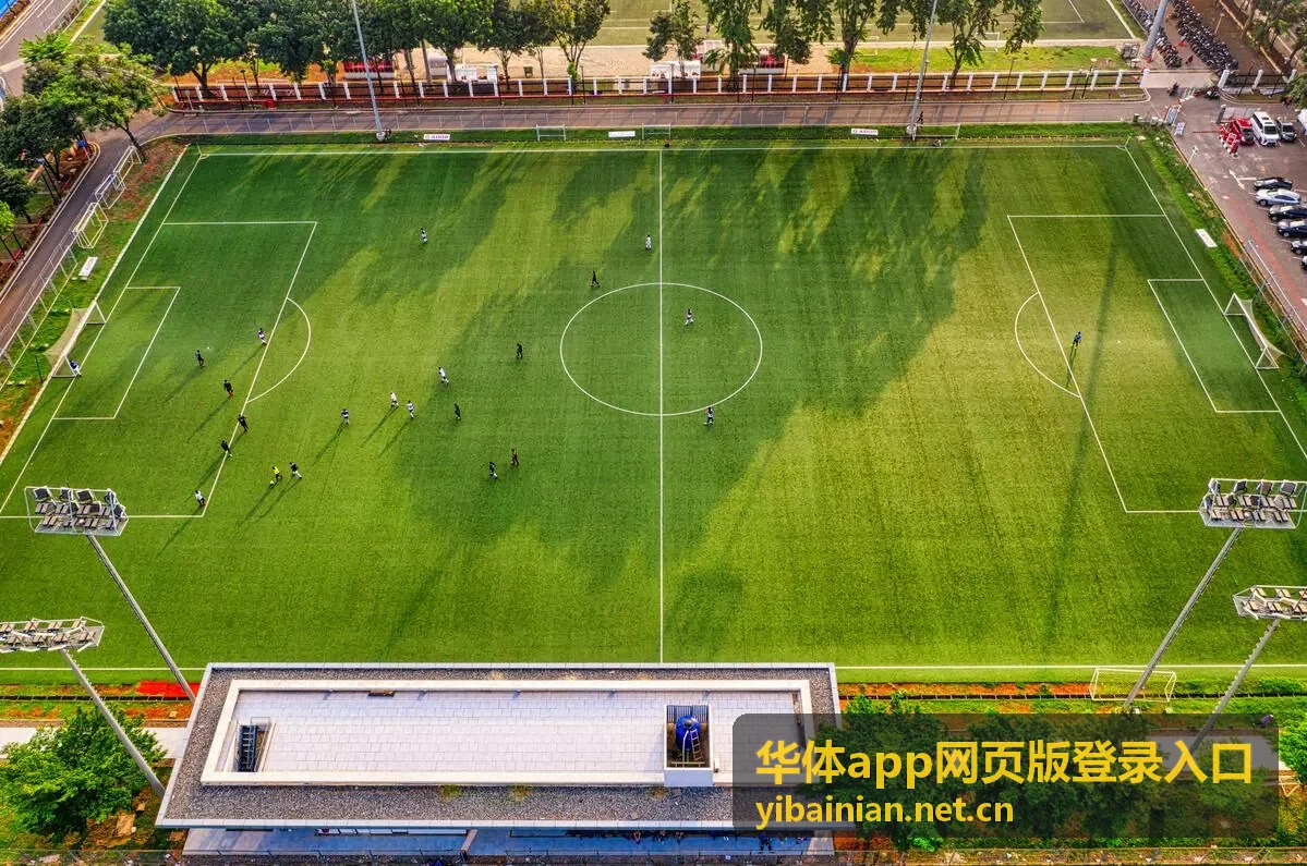 华体app网页版登录入口 会员专属权益介绍