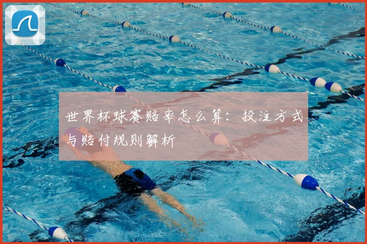 世界杯球赛赔率怎么算:投注方式与赔付规则解析