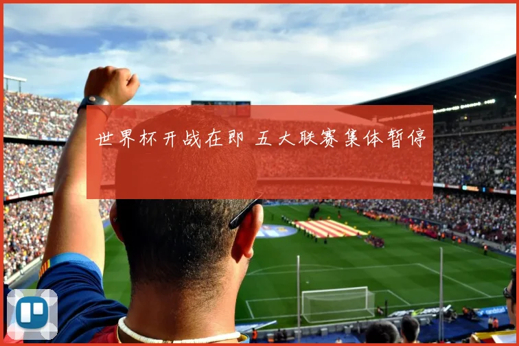 世界杯开战在即 五大联赛集体暂停