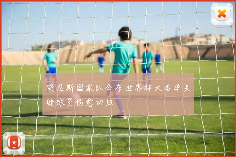突尼斯国家队公布世界杯大名单关键球员伤愈回归