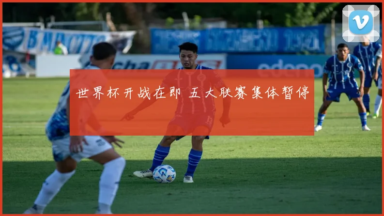 世界杯开战在即 五大联赛集体暂停