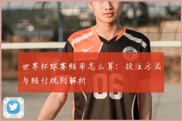 世界杯球赛赔率怎么算:投注方式与赔付规则解析