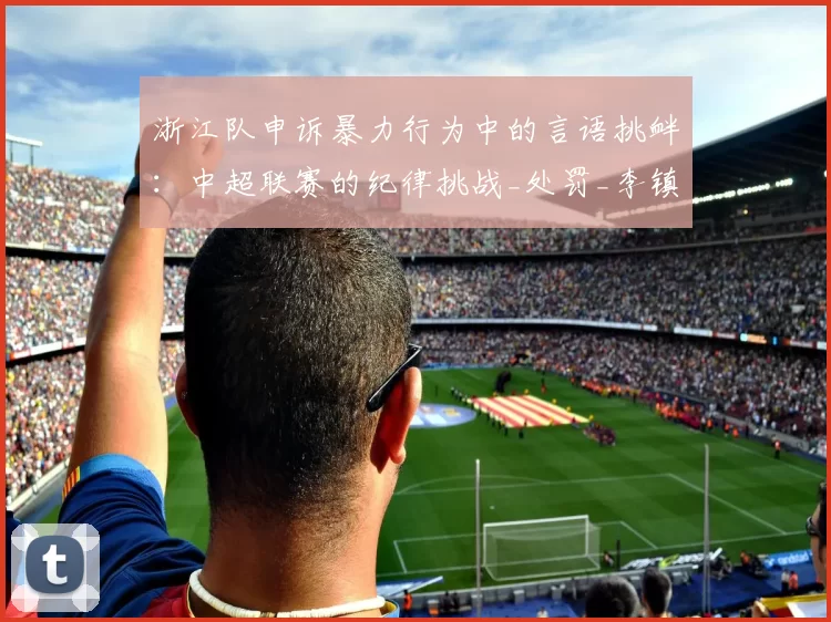 浙江队申诉暴力行为中的言语挑衅:中超联赛的纪律挑战_处罚_李镇_米特里