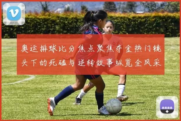 奥运排球比分焦点聚焦夺金热门镜头下的死磕与逆转故事纵览全风采