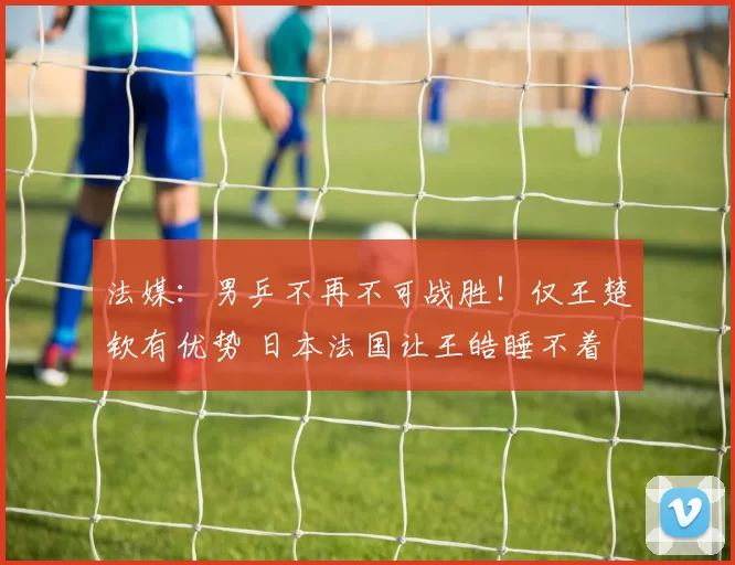 法媒：男乒不再不可战胜！仅王楚钦有优势 日本法国让王皓睡不着